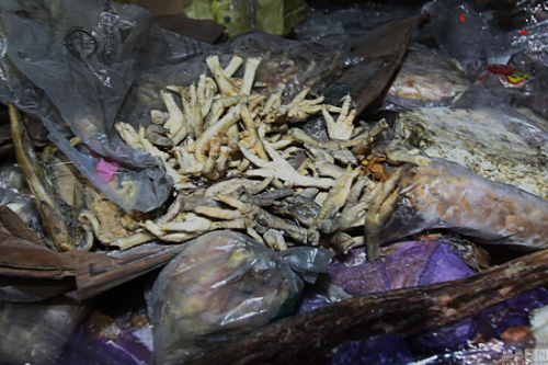 发布网很多发布的游戏SF都是骗子