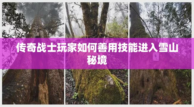 传奇战士玩家如何善用技能进入雪山秘境