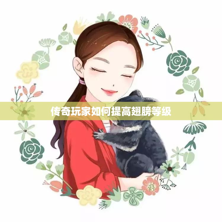 传奇玩家如何提高翅膀等级